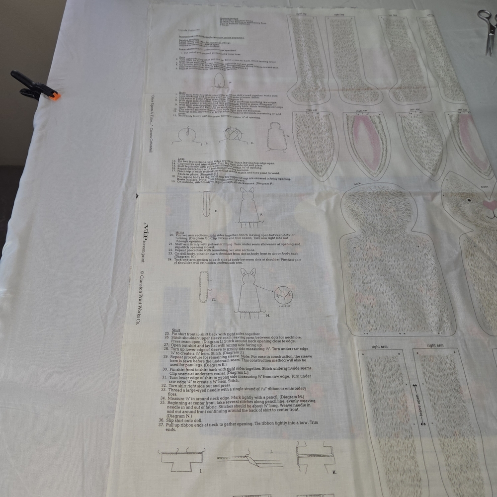 VIP Screened Print Cut & Sew "Once Upon A Time" Carrots Cottontail Pattern RRCP - Picture 5 of 8